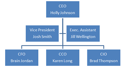338_executive management team of Medical Solutions Systems.png